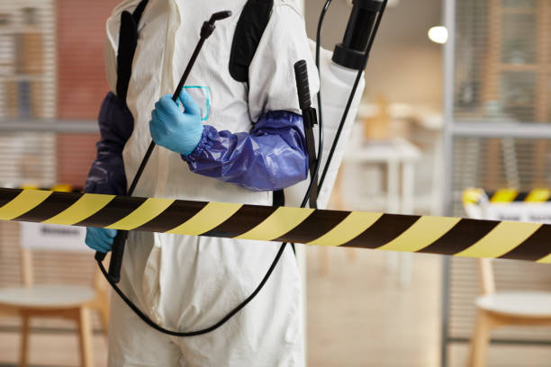 Professional Hoarding Cleanup technician working in Marquette, MI